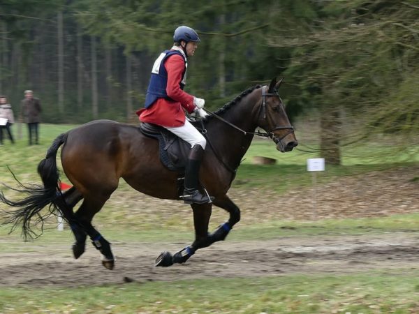 bottes d'équitation