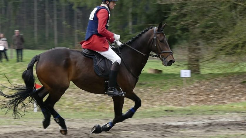 bottes d'équitation